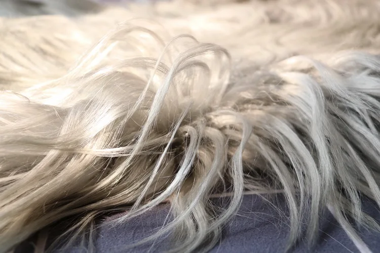 long hair goat fur  (4).JPG