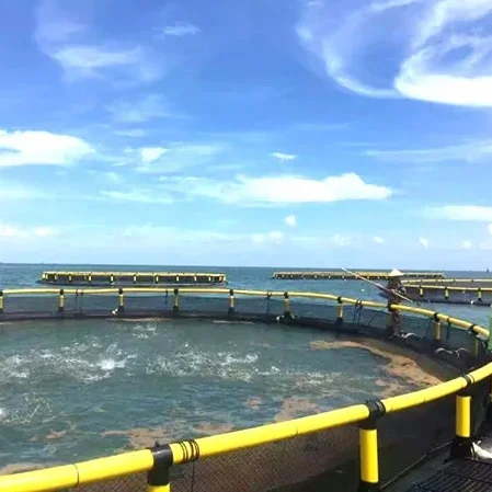 Fish Cage Perimeter Sea Bass Fish Farming Cage Sea Raising Fish Equipment for Pisciculture HDPE Pipe Framework Farm 30-160m Blue