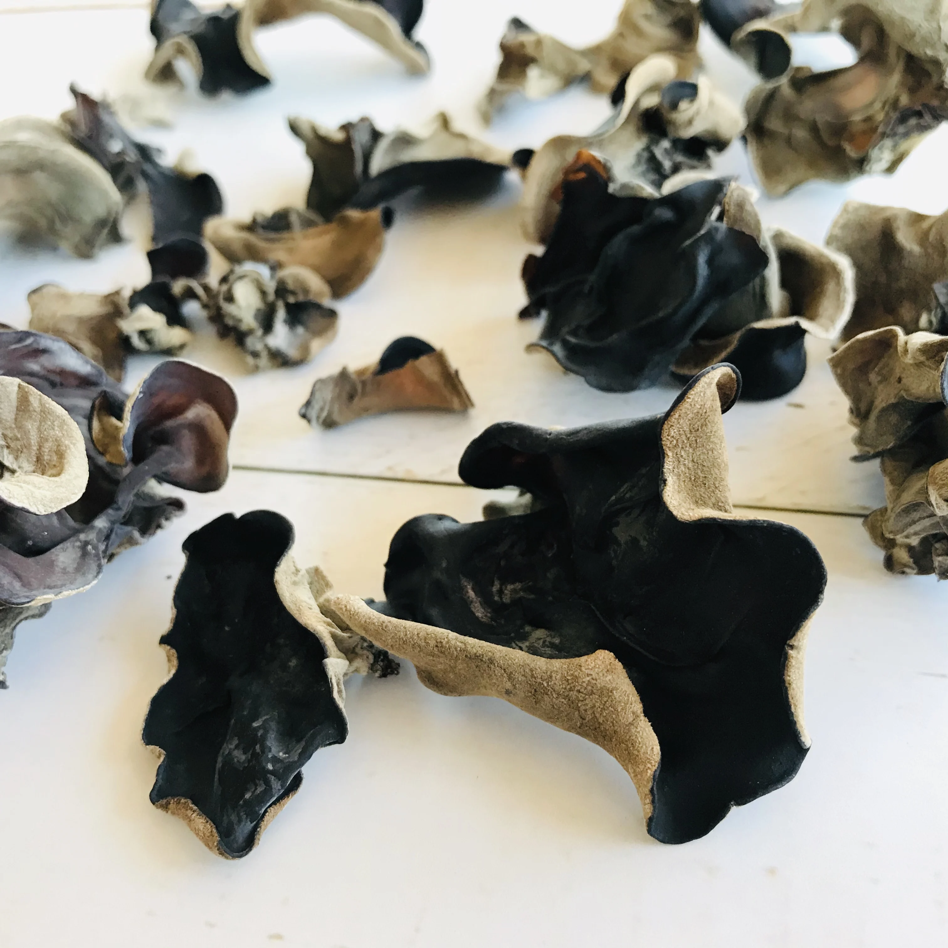 Оптовые цены на грибы съедобного гриба и черные трубы