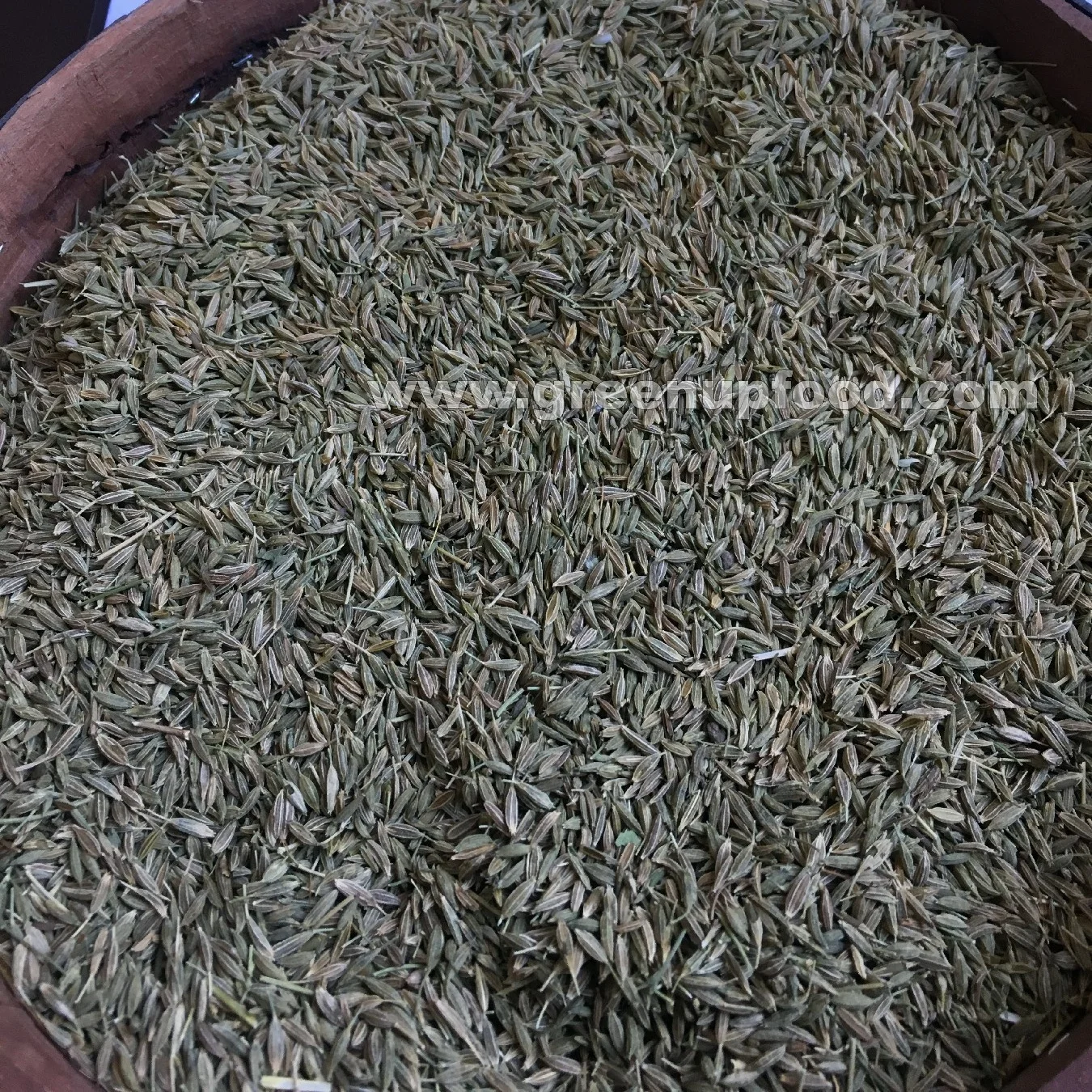 Cumin seeds Cuminum cyminum  herbs  high quality no stem no small seeds good for tea and no empty seeds fresh crops