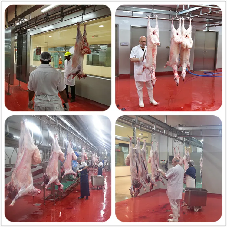 v_type_sheep_slaughtering_halal_ritual_killing_box_for_goat_abattoir