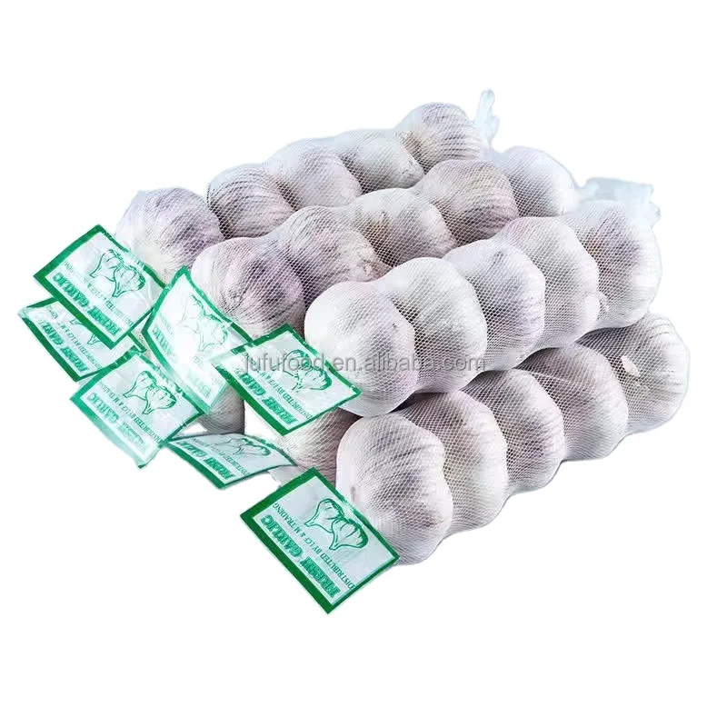 good quality purel white garlic factory price for the international market