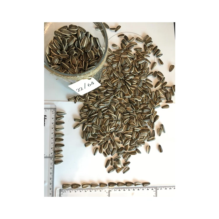 22/64 год, Dakota, оптовая продажа, семена подсолнухов в полоску высшего качества, семена подсолнухов большого размера, натуральная еда, упаковка сырья, новый урожай