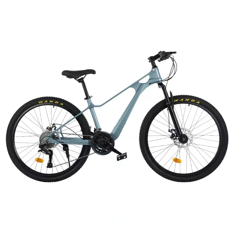 Professional factory supply 24 26 inch magnesium alloy mountain  bicycle with variable speed off-road racing commuting MTB bike