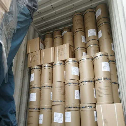 Bio fertilizer Bacillus Megaterium 10 billion CFU/g Soil Conditioner