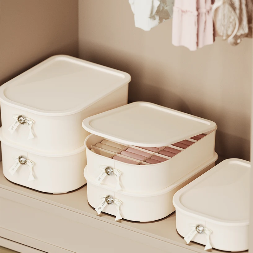 High Quality Custom Style Multicell Plastic Underwear Organizer Storage Box Sock Underwear Storage Organizer