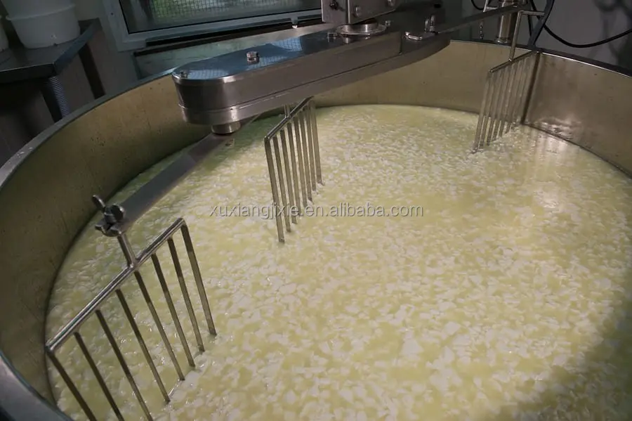 eden cheese halloumi cheese making machine cheese making machine production