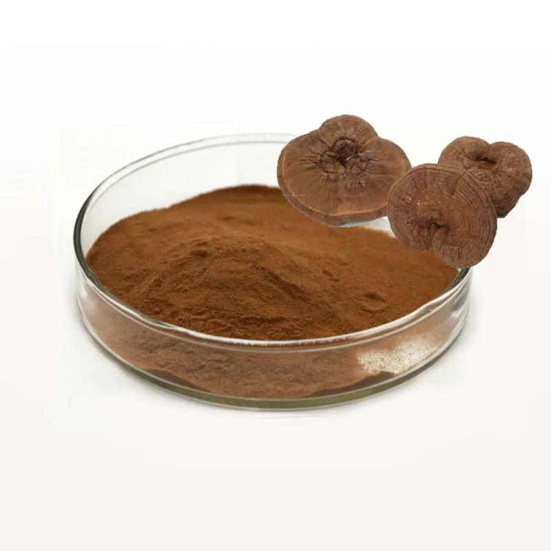 Здоровый продукт, органический выращиваемый чистый порошок грибов ling zhi reishi ling zhi