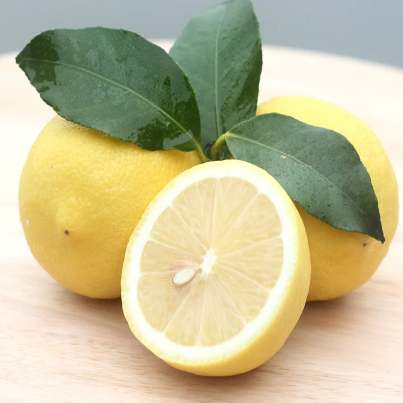 Wholesale cheap Price Hot sale high quality fruit Yellow Lemon Fresh seedless Lemons