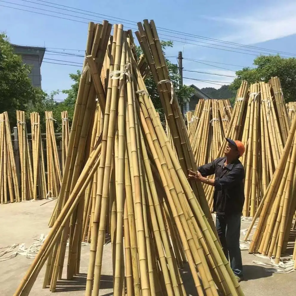 Wholesale Price Natural Decoration Building Construction Big Bamboo Pole