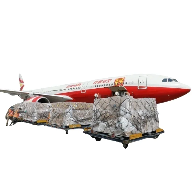 Самый дешевый DHL Экспресс-Доставка в Китае Dhl экспресс-доставка Непал