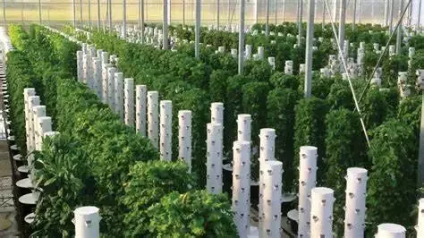 Vertical Farming Tower  Use For Agricultural Greenhouses Equipment Hydroponic System