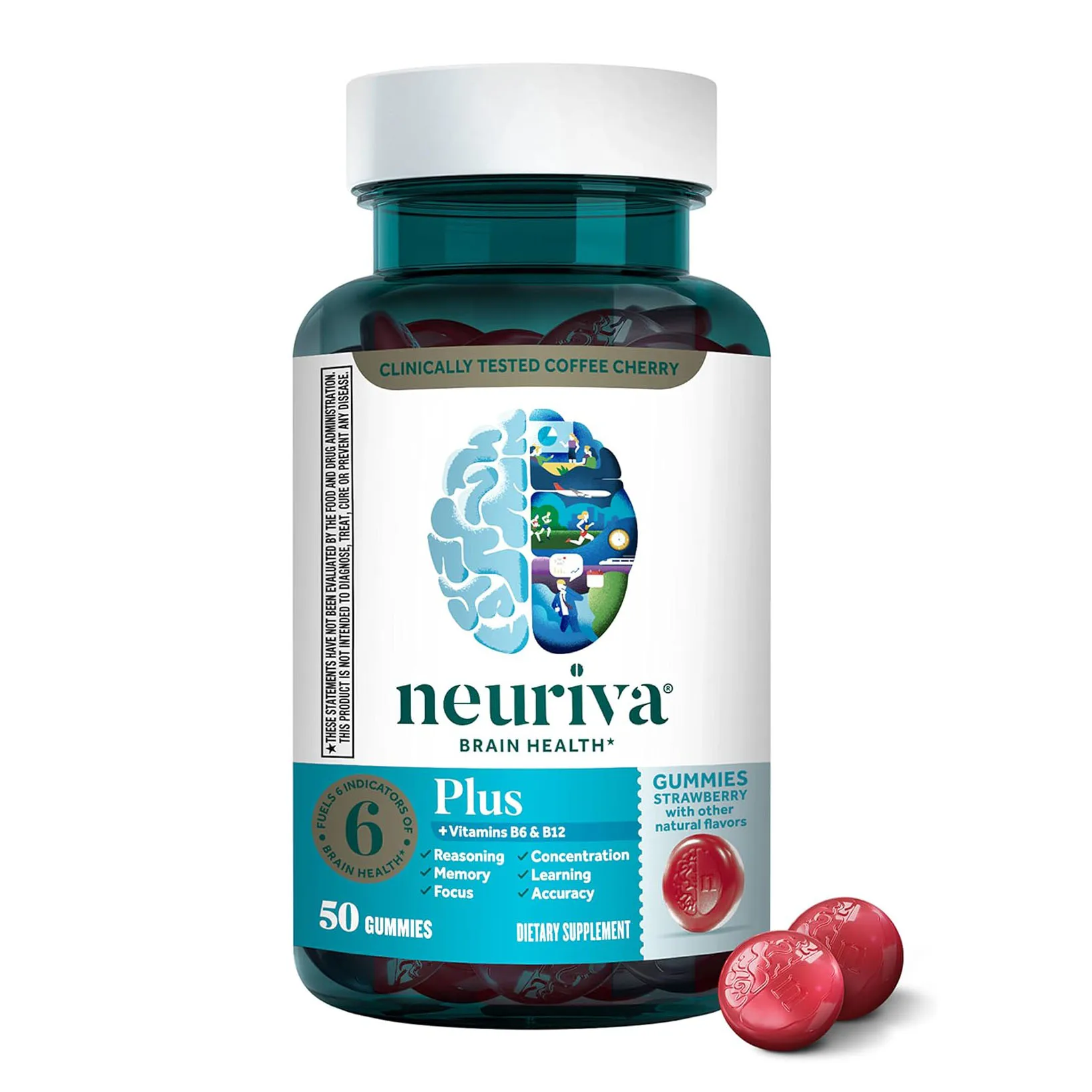 Plus Brain Gummis Memory Focus Concentration Cognitive Function with Vitamins B6 B12 Nootropics Phosphatidylserine Neurofactor