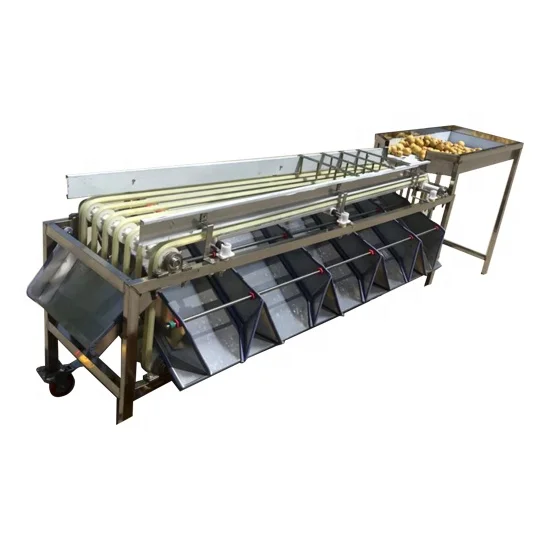 Automatic Fruit longan Red olive sorting selection machine