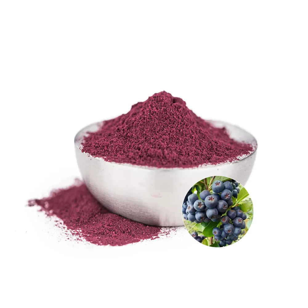 Natural Aronia Chokeberry Extract Promote Metabolism Herbal Extract Aronia Berry Extract