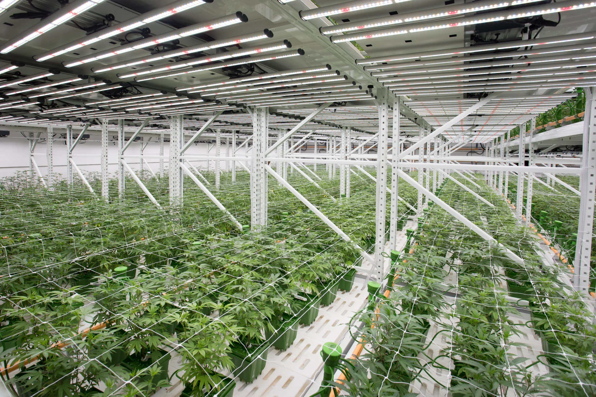 Сельское хозяйство товары для выращивания система гидропоники вертикальные теплицы посадки