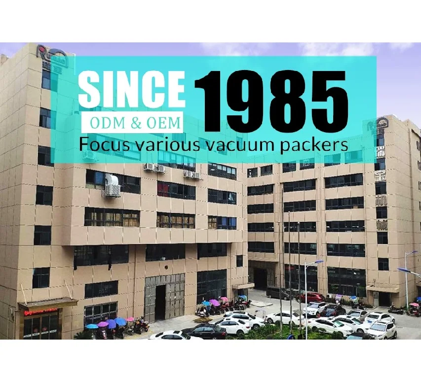 automatic double chamber food vaccum sealer vacuum packing machine fruit meat fish industrial export to Hongkong