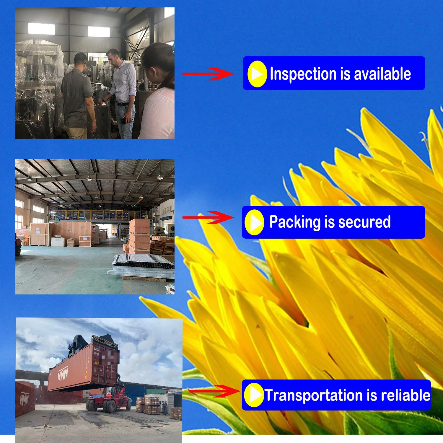 factory low cost ALG5 Automatic ampoule filling and sealing machine for liquid injection filling ampouls 1-20ml