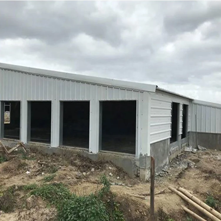 Куриный Домик из легкой стальной конструкции для несущих кур свободного