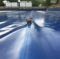Factory supply swimming pool fish and shrimp farm HDPE/LDPE blue geomembrane with ISO certification