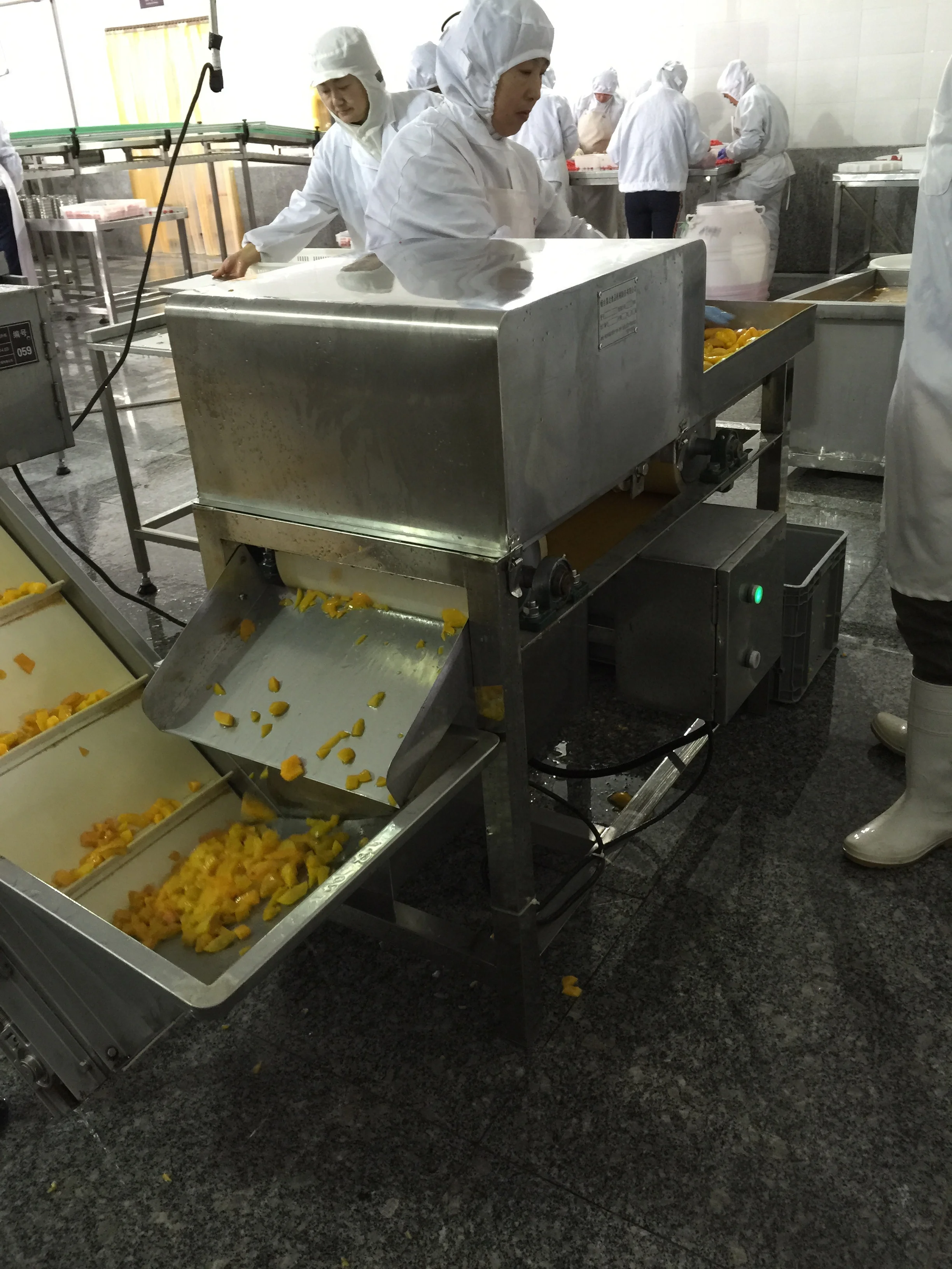 
cherry/Plum peeling machine/juicer machine 