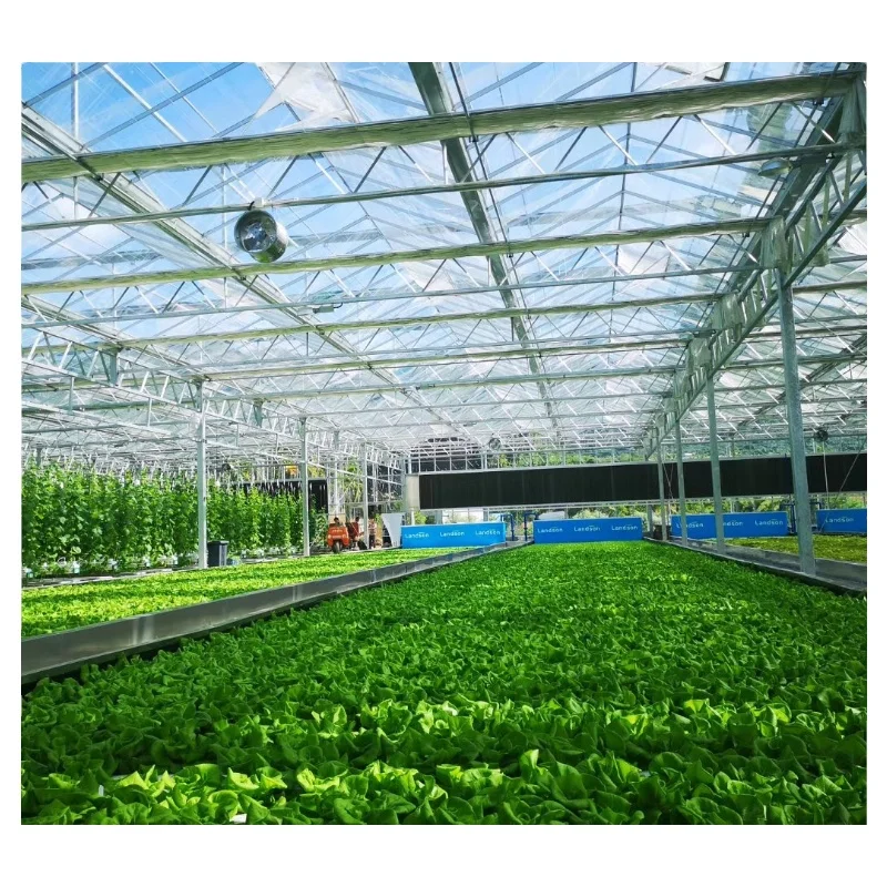 Professional Agricultural Film Greenhouse with UV Stabilization and Temperature Control Systems