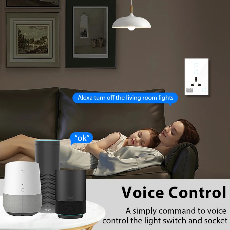 Universal Standard Tuya Smart Life Remote Control WiFi Smart Light Switch Socket with USB port and Backlight Function