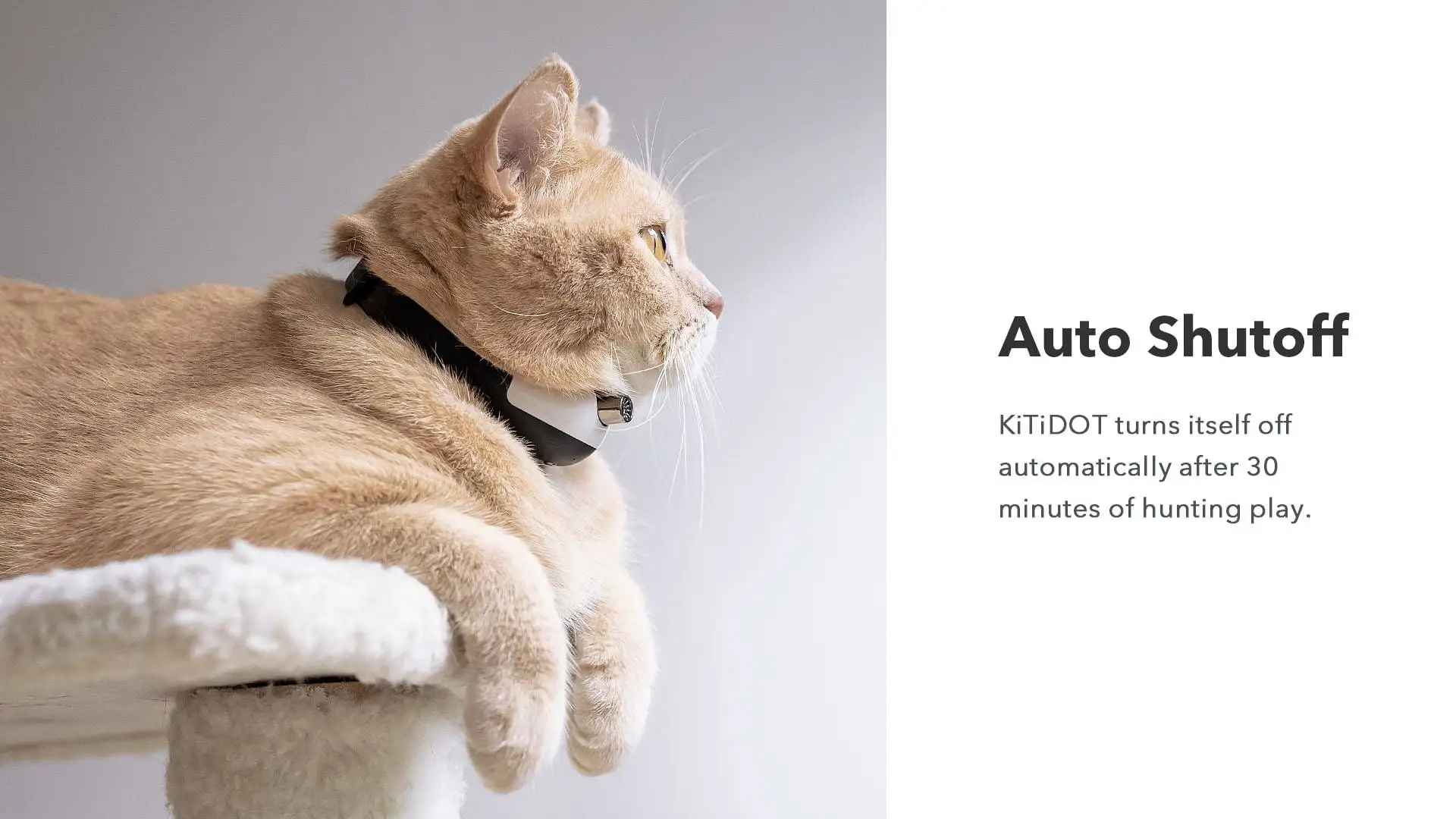 Cheerble KiTiDOT Amusing Collar Wearable Laser Cat Toy Micro-USB Charging Tailored Fit for Cats & Kittens Cat Laser Toy