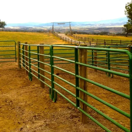 6 Bar 5ft High Horse Fence Corral Panels USA Type Low Maintenance Square Tube Rail Driveway Gates 8ft Width 10ft Length Hot Dip