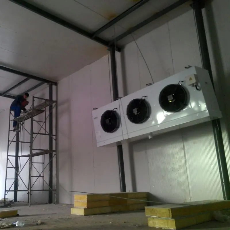 Low Cost Freezer Room For Supermarket