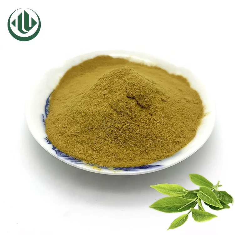 Factory Price Manufacturer Supplier Green Tea Extract Yulong Instant Green Tea Powder