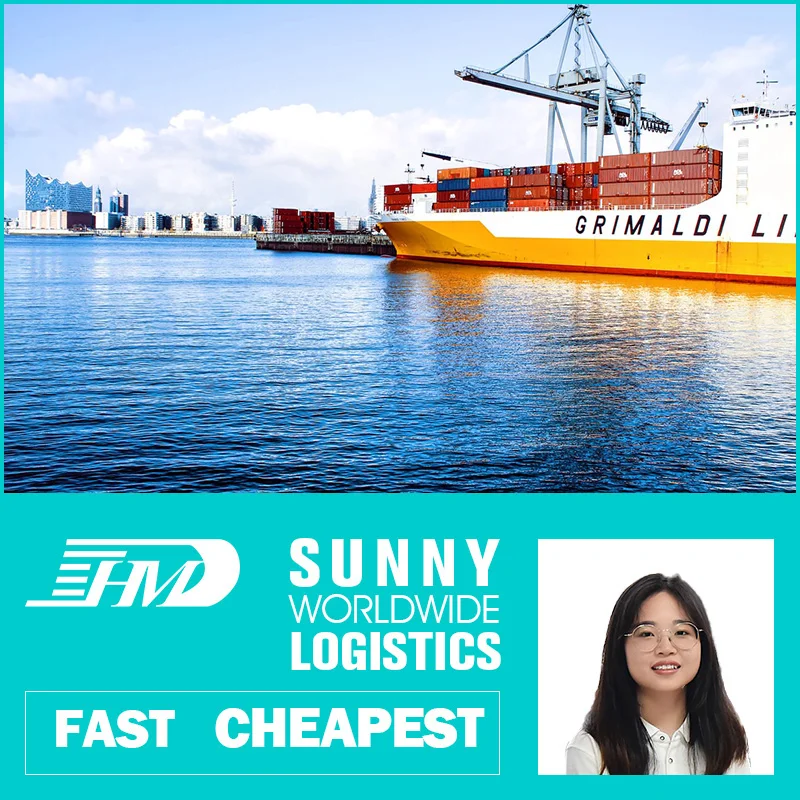 swwls ddp freight forwarder china qingdao ningbo to door sea shipping dubai miami cameroon