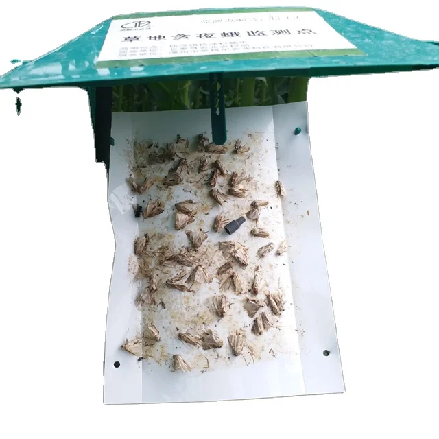 Insect sex pheromone wing trap pest catcher agriculture farm solution agro service