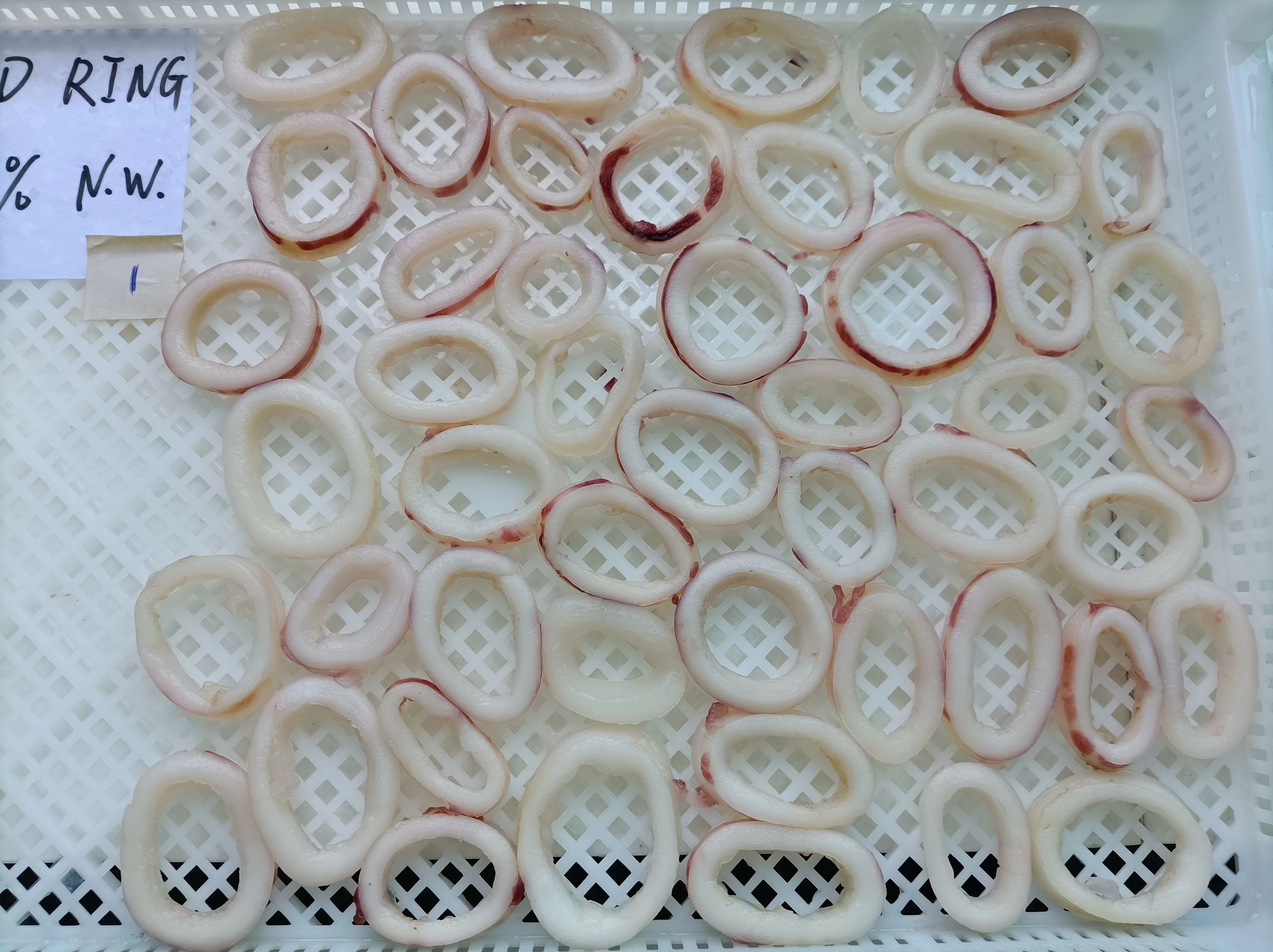 Clean Squid Rings Led Squid Ring Frozen Blanched Squid Rings