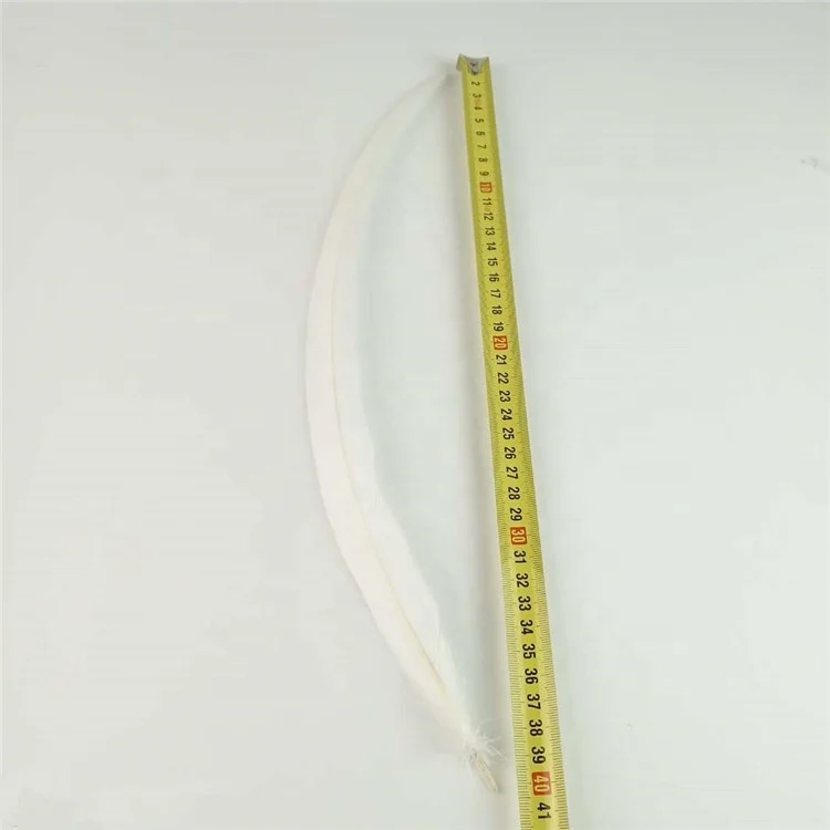 Wholesale top quality white natural 40-45cm rooster feather
