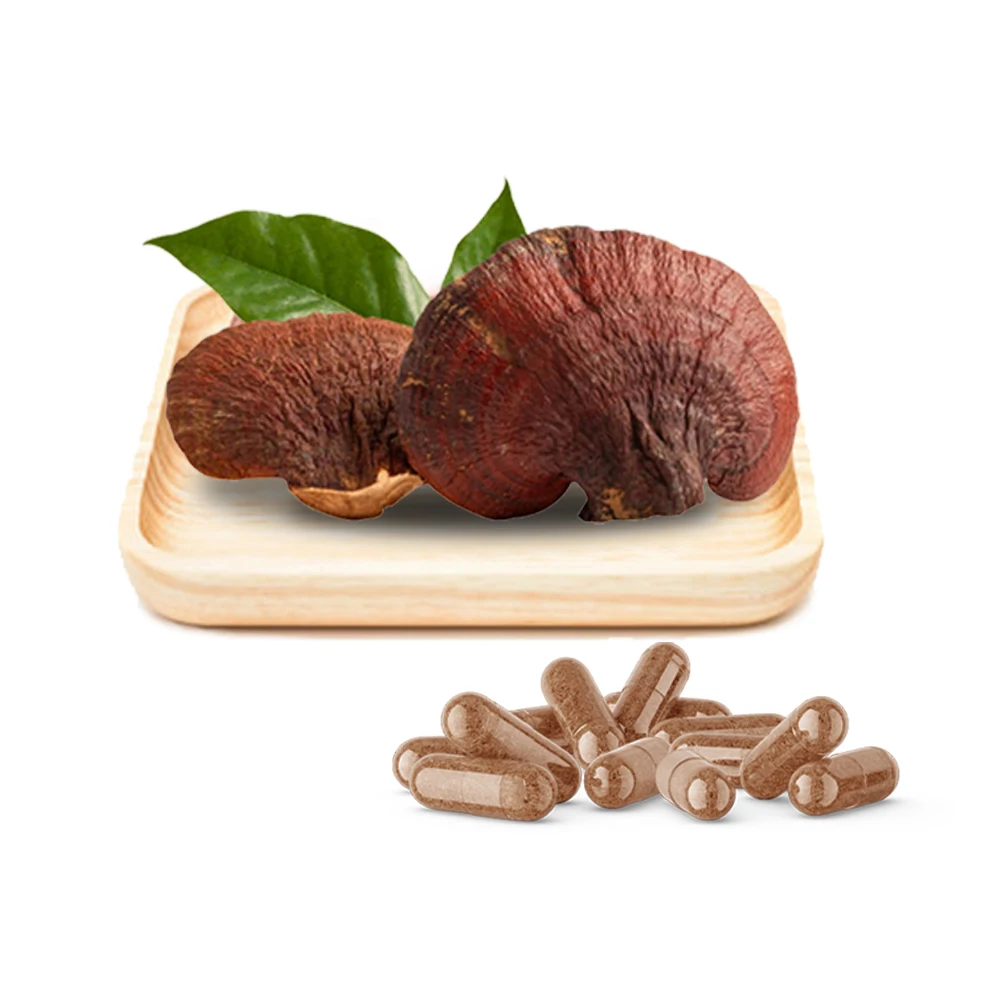 Ganoderma Lucidum Mushroom Extract  Reishi Capsules Ganoderma Lucidum extract capsule