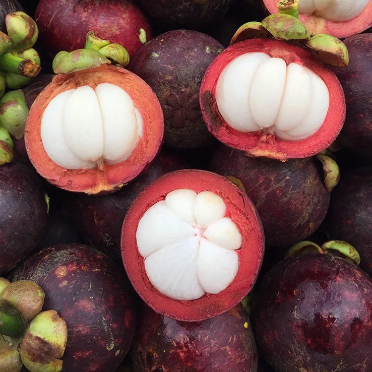 
High Quality Chinese Tasty Delicious Fresh Mangosteen 