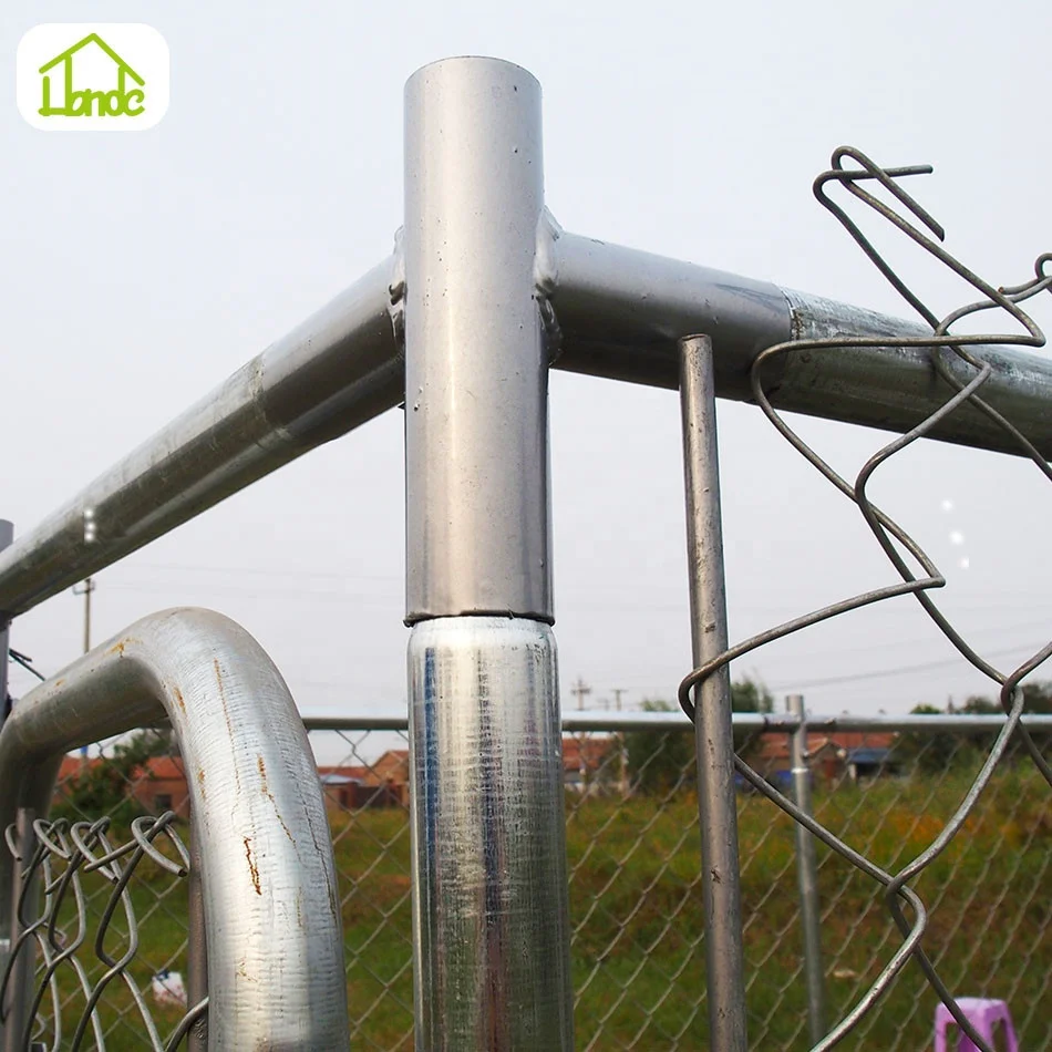 Chain link pet cages mating dogs and women
