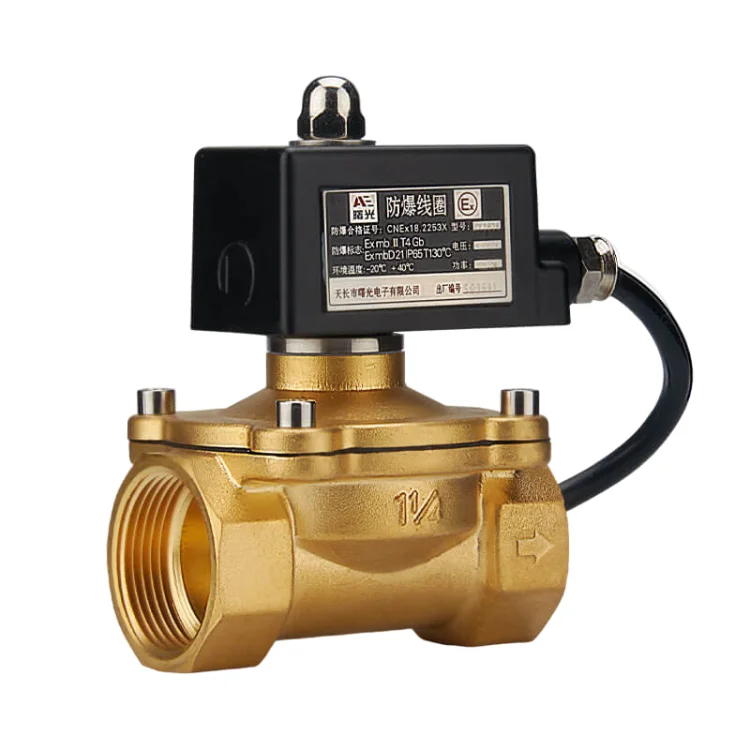 Explosion Proof solenoid valve 12 volt 1/4 NPT 2 Way 2 Position 12V Pneumatic Solenoid Valve