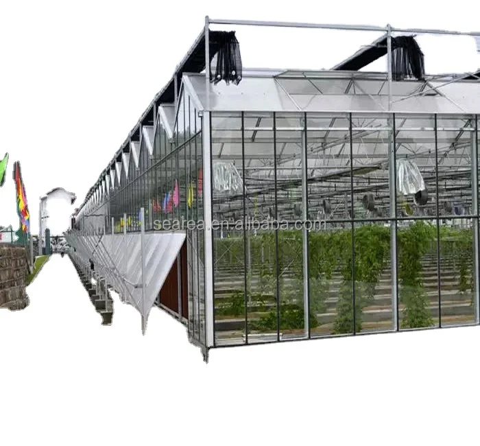 Venlo glass cover metal frame greenhouse