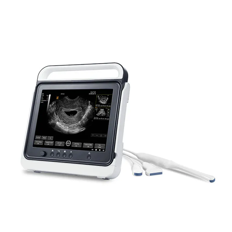Портативный Ветеринарный ультразвуковой допплер Pt50a pt50c для животных ветеринарный домашних аппарат крупного рогатого скота лошади бычьего эквина
