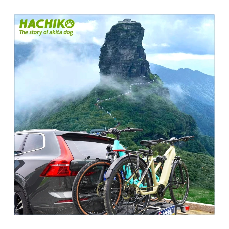 Hachiko Exclusive electric mountain bike 250W MIVICE mid motor 48V 15Ah long range electric city bike