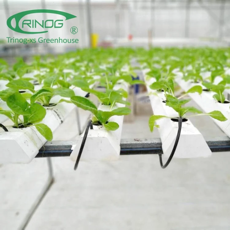 Trinog greenhouse Agricultural Commercial NFT lettuce cultivation Hydroponics System for Film Green House