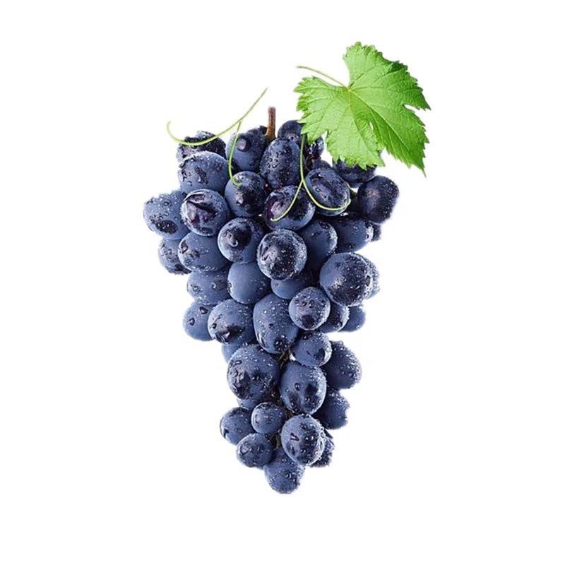 
High quality anti oxidant grape seed extract powder 95% OPC 