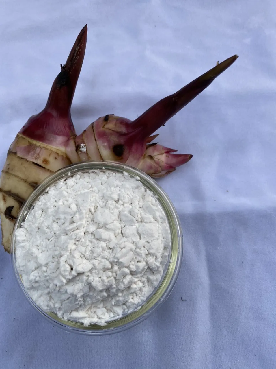 Arrowroot starch Flour White Powder Native type from