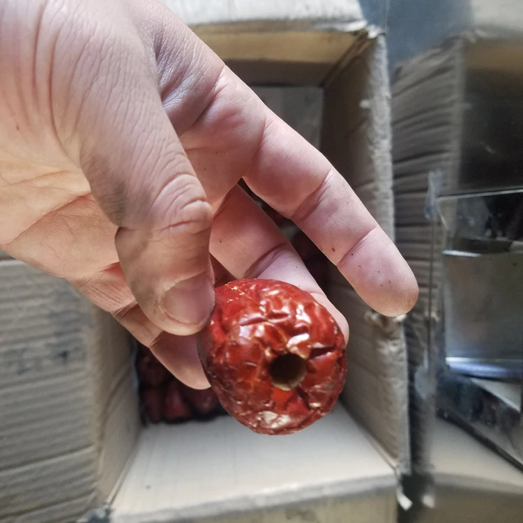 Date palm Seed Fruit Stone Removing Cherry Pit Core Remover Cutting Machine Plum Date Jujube Dried Apricot Pitting Machine