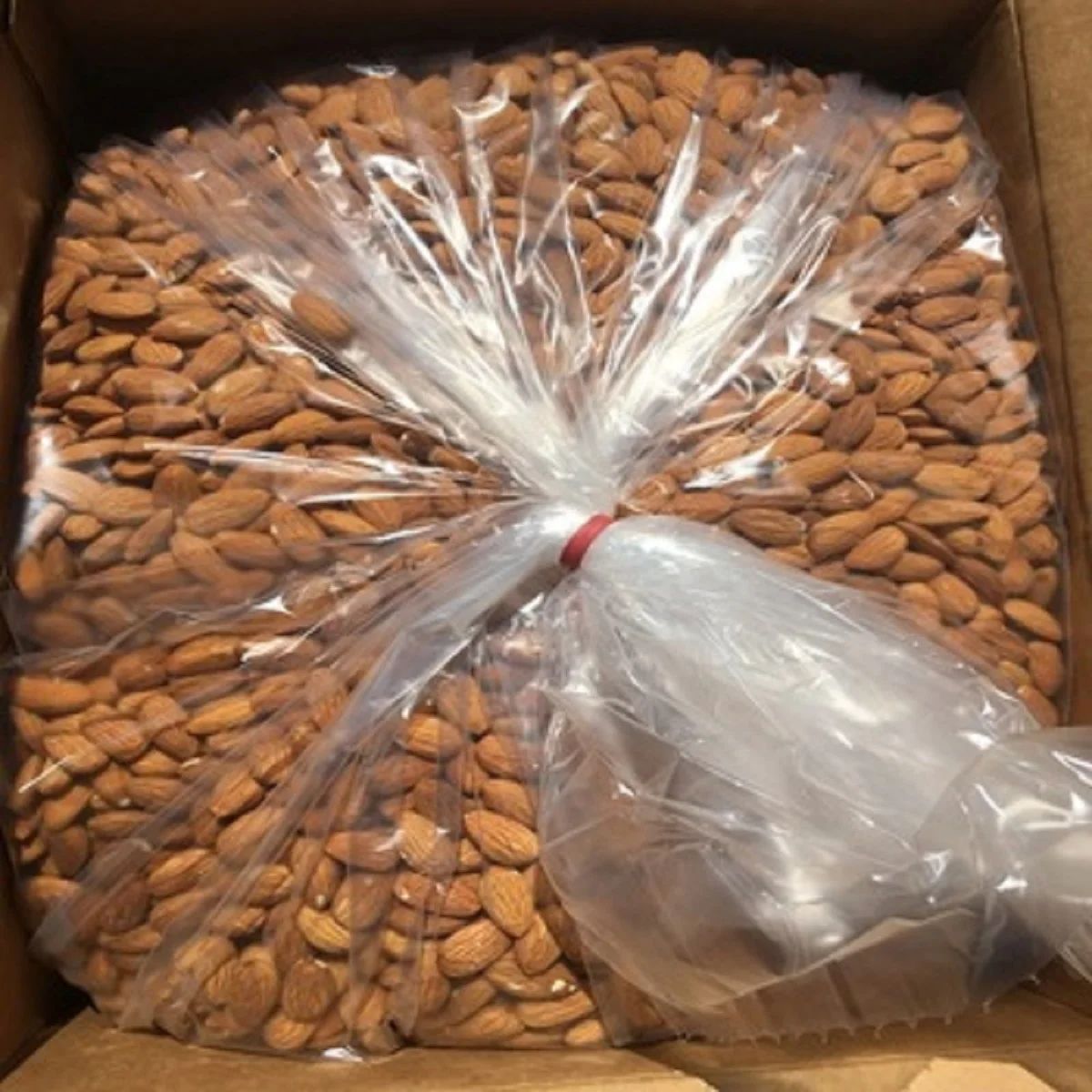Natural Sweet American Almonds 20/22 Dry and Raw Fruits Almond Dried Wholesale Price in California