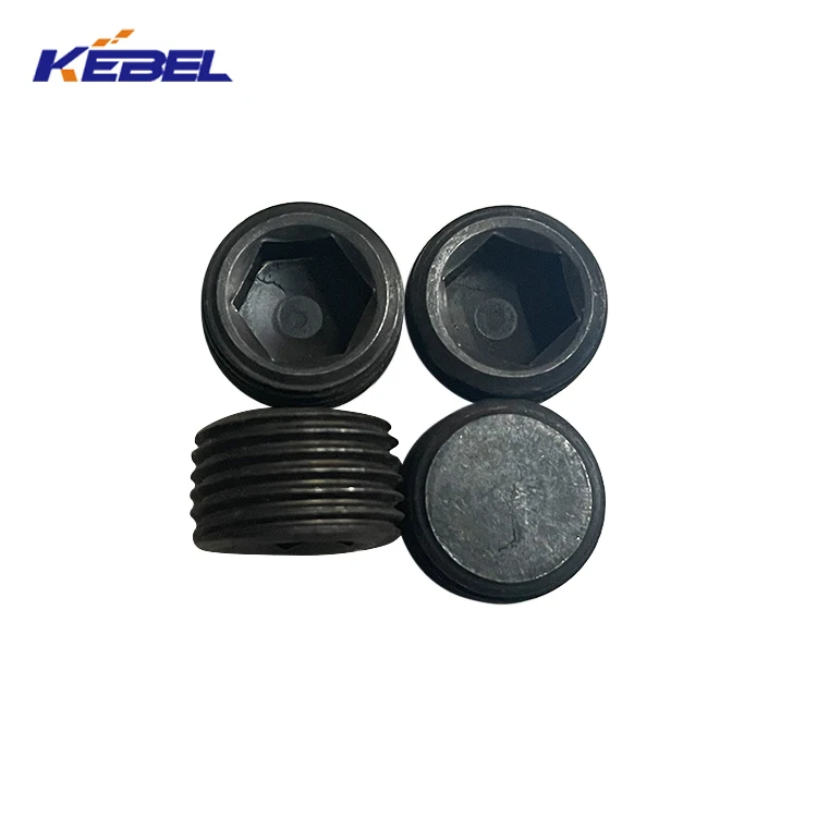 heavy machinery NT855 N14 M11 diesel engine parts pipe plug 3008468 large stock engine parts pipe plug for cummins