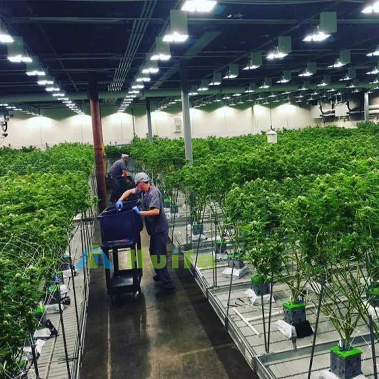 New style adjustable seedbed galvanized rolling greenhouse bench