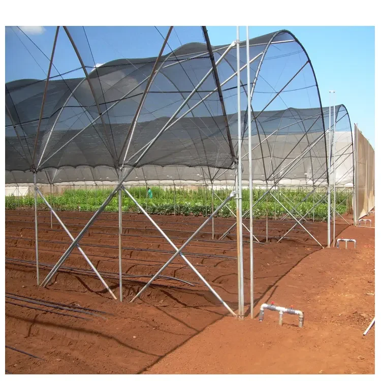 Film tunnel horticultural greenhouse agriculture for farming green house low cost hot sale polytunnel berry greenhouse